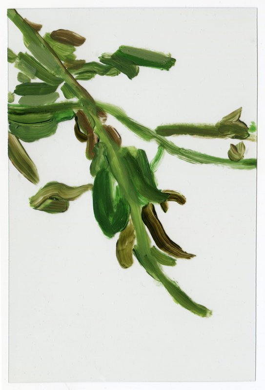 Alex Fischer, Vii F4 Acrylic on Acrylic, 2015-02-23